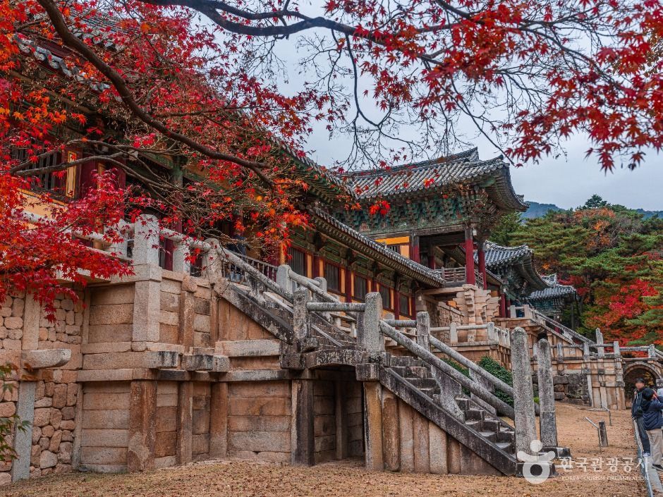 붉은 단풍과 불국사 석축·전각의 가을 자료 사진