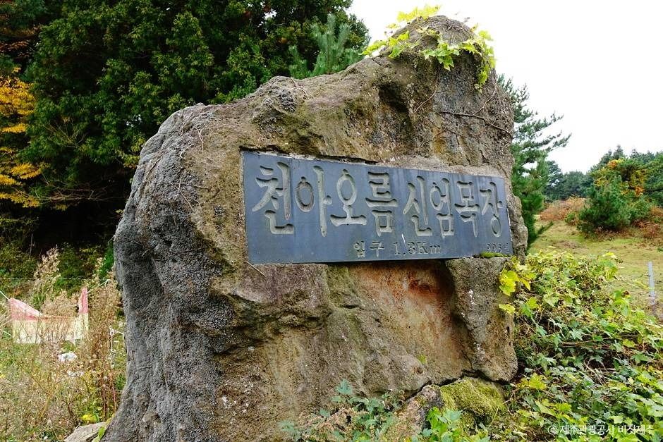 천아오름의 관람 공간 자료 사진
