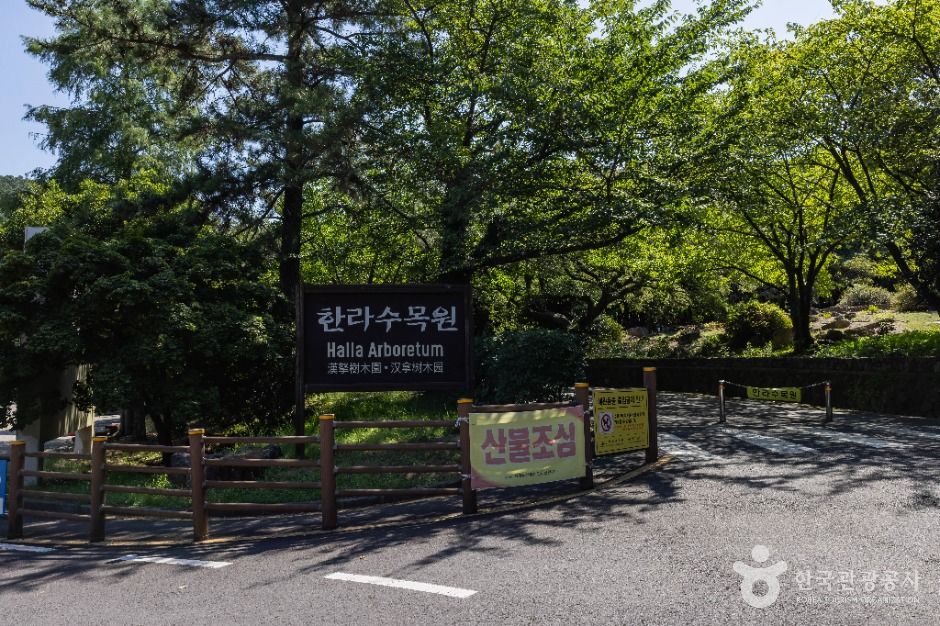 나무와 입구 표지판이 보이는 한라수목원 자료 사진