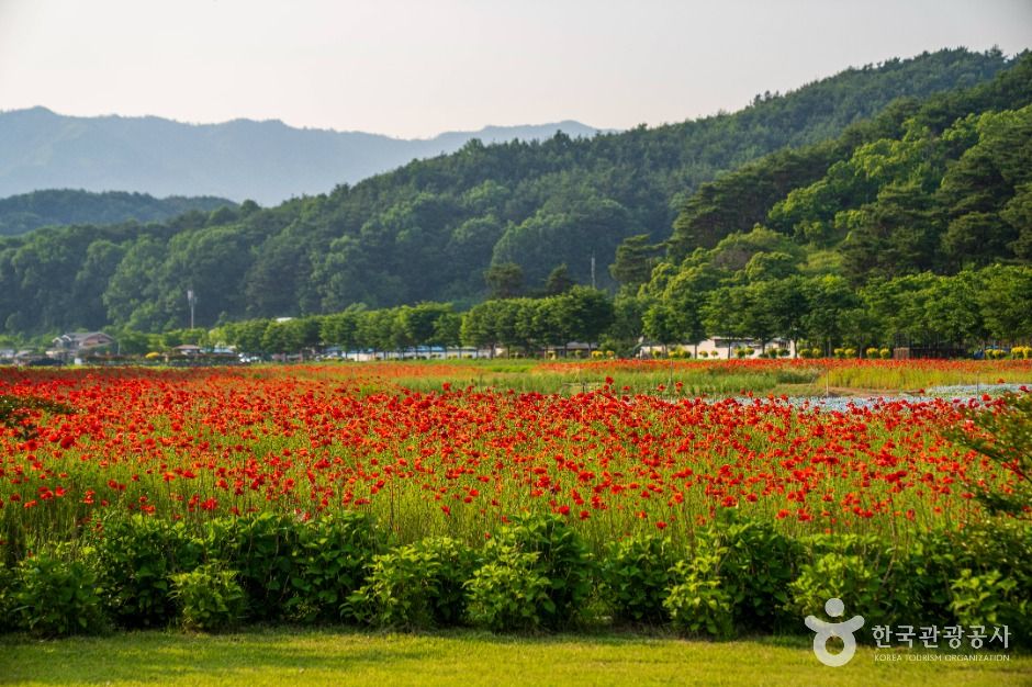 상림공원의 관람 공간 자료 사진
