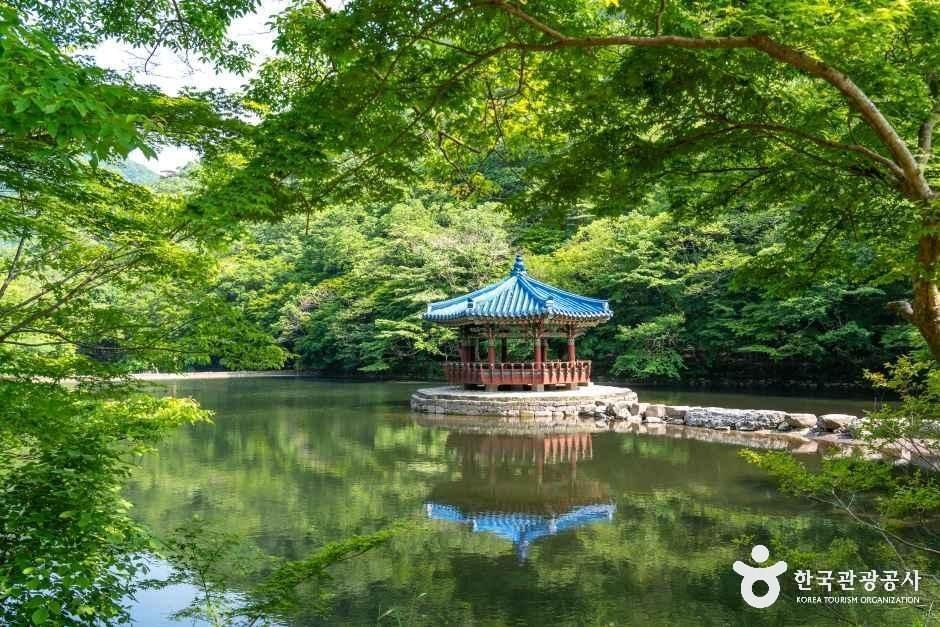 내장산 우화정과 연못에 비치는 나무 풍경 자료 사진