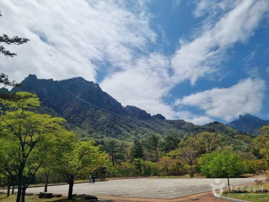 설악산소공원에서 바라본 설악산 능선과 신록