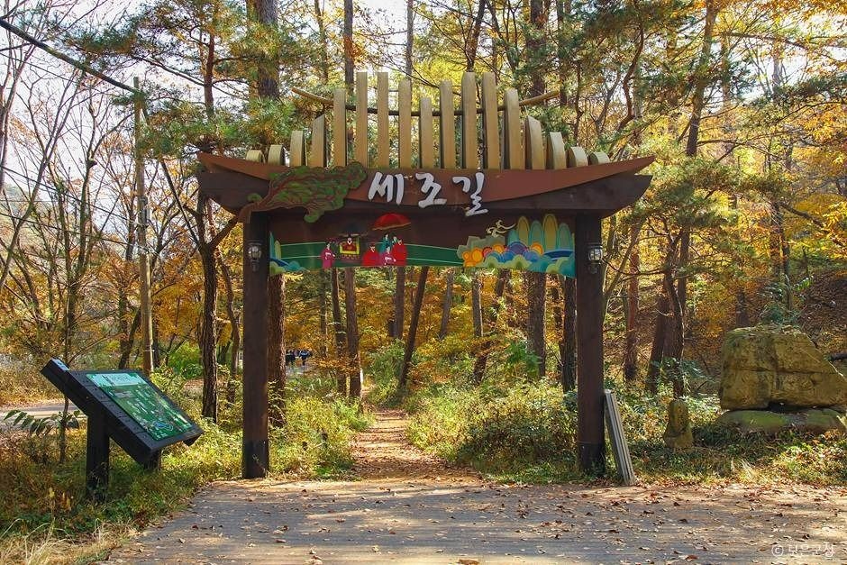 세조길 입구 표지와 가을 나무 풍경
