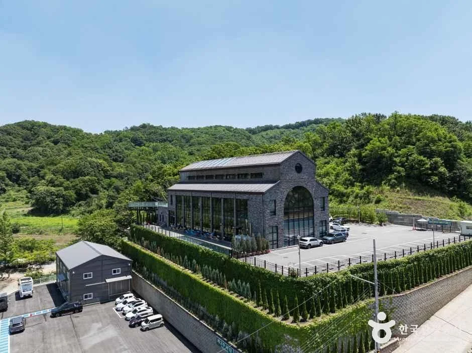 트리브링 업체 사진