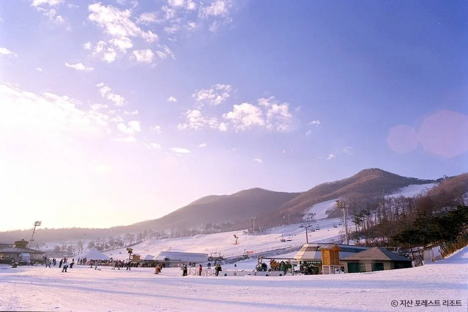 지산포레스트리조트 겨울 슬로프 전경