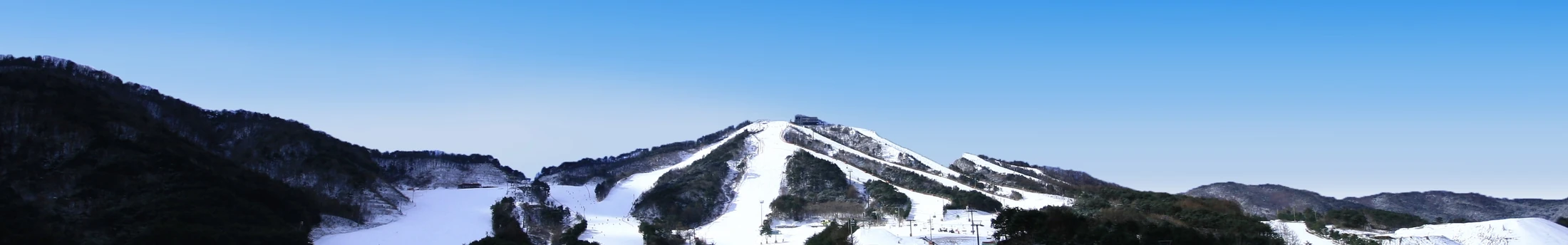 웰리힐리파크 공식 슬로프 전경